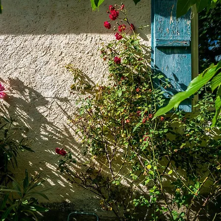 Holiday home La Maison De Cyrielle Saint-Savin (Hautes-Pyrenees)